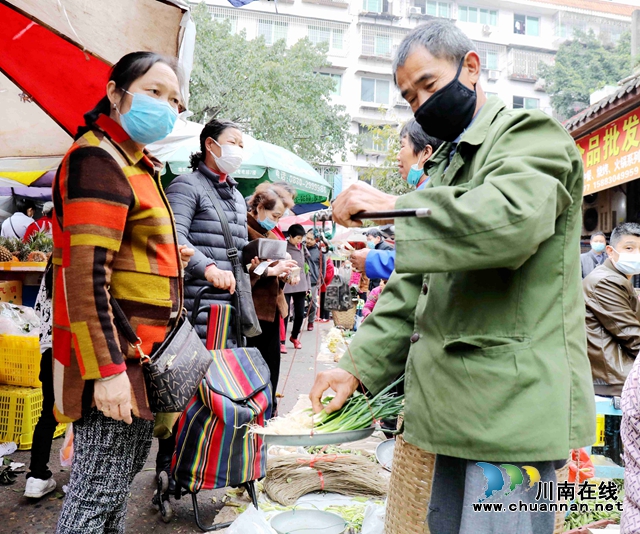 泸州龙马潭：菜篮子里的希望 在春天里复苏(图3)