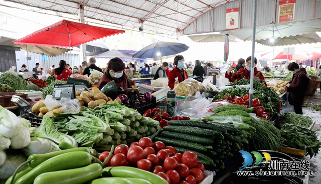 泸州龙马潭：菜篮子里的希望 在春天里复苏(图4)
