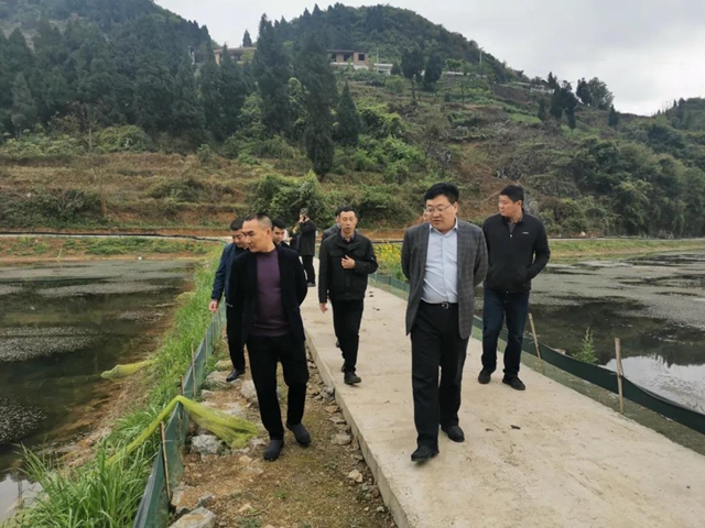 泸州市市场监督管理局到古蔺石宝镇调研脱贫攻坚工作(图1) 泸州市市场监督管理局到古蔺石宝镇调研脱贫攻坚工作(图1)