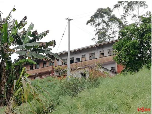 自贡82岁太婆被害身亡，84岁丈夫有重大嫌疑已被抓获(图3)