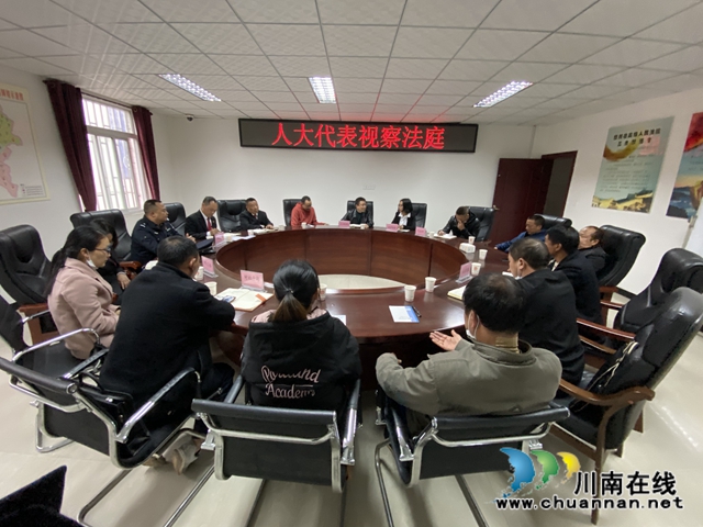 纳溪法院：人大代表进法庭 诉源治理话新篇(图1)