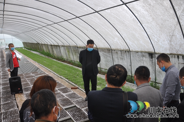 泸县召开2020年酿酒专用高粱生产基地与农业园区建设工作会(图2)