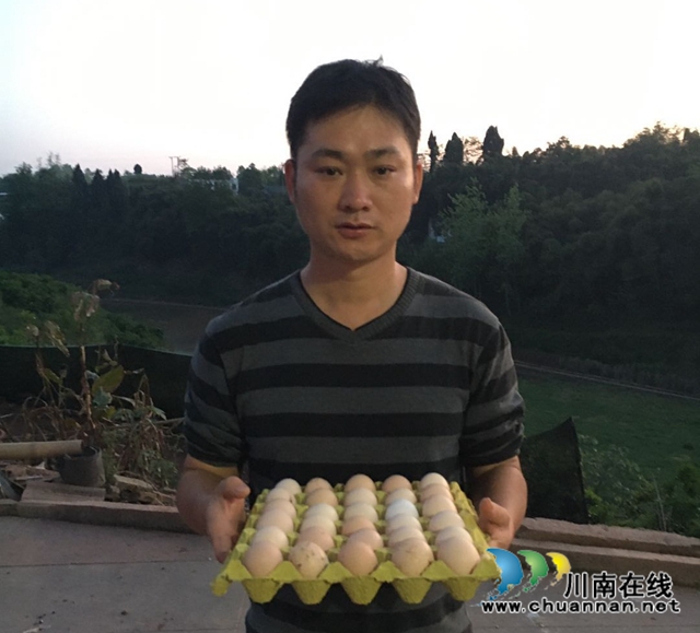 泸县太伏镇第一书记义务“带货” 贫困户土鸡蛋不愁卖(图2)