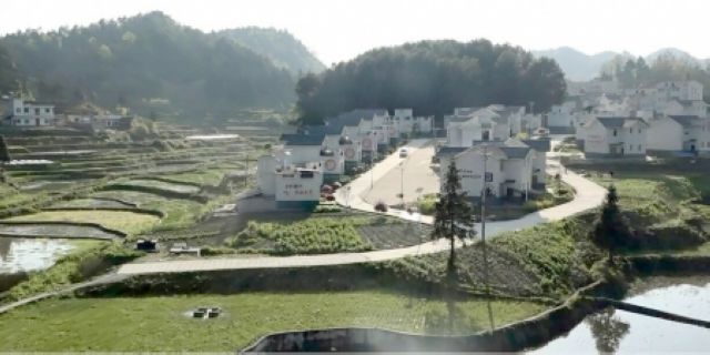 古蔺因村施策“稻田养鱼”养出富足(图1)