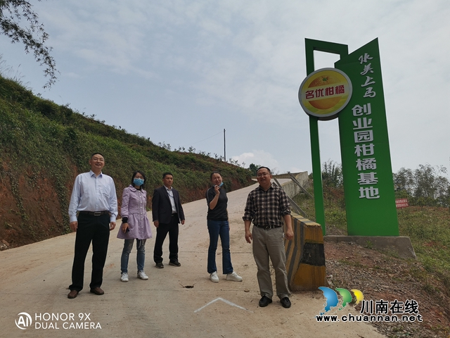 纳溪区行政审批局调研帮扶联系村扶贫产业发展情况(图2)