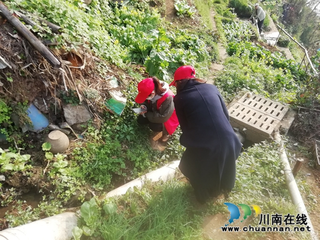 江阳区华阳街道：全力踏查毒品原植物，筑牢无毒网格化管理(图1)