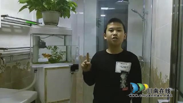 龙马潭区玉带河学校师生科技创新作品获可喜成绩(图2)