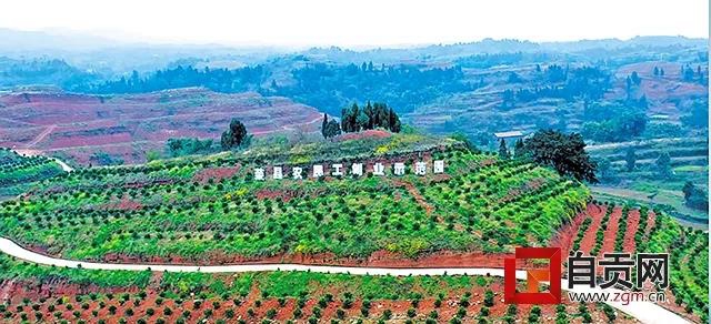 自贡首批6家市级科普基地授牌,它们可以做些啥?(图5) 自贡首批6家市级科普基地授牌,它们可以做些啥?(图5)