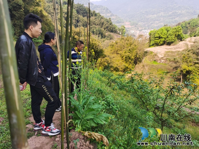 合江县先滩镇：脱贫攻坚，人大代表在行动(图1)