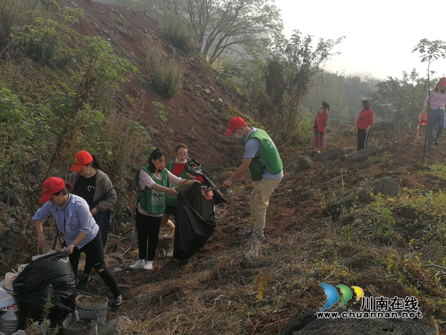 江阳区大山坪街道三道桥社区：党员护青山 微光在行动(图1)