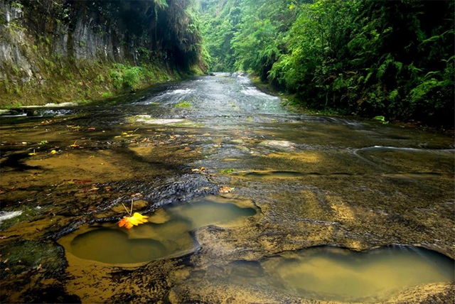 清凉！沿河7公里一路皆景，威远石板河今夏全新亮相(图14)