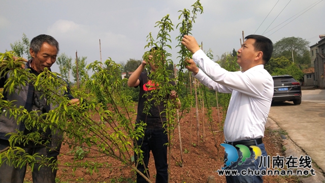 泸县：扶贫扶志 产业发展见成效(图1)