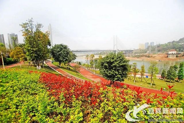 宜宾这个好经验,在全省推广!(图4) 宜宾这个好经验,在全省推广!(图4)