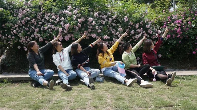 江阳蔷薇开了！来一套田园写真集不香吗？(图14)