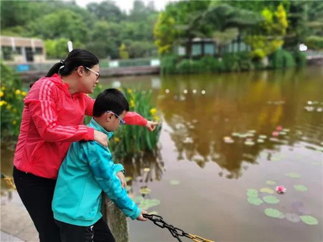 江阳法院普法萤火虫 对话地球日（一）(图4)