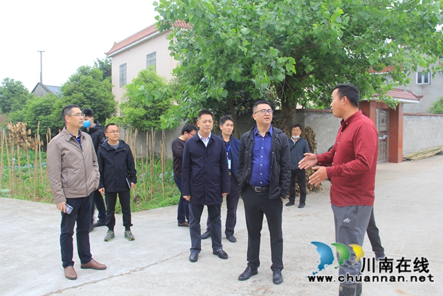 章磊到泸县云龙镇督导河长制工作