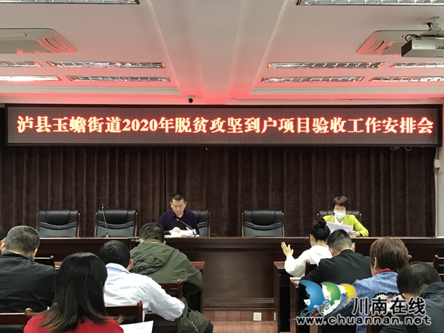 泸县玉蟾街道开展扶贫项目到户验收工作(图1)