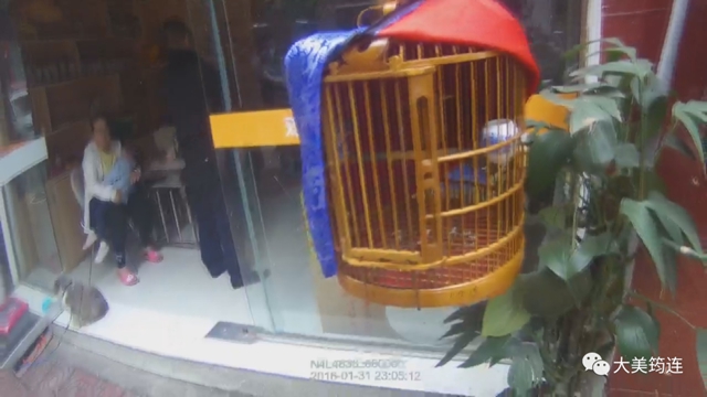 非法经营野生动物！宜宾筠连这两个场所遭了(图3)