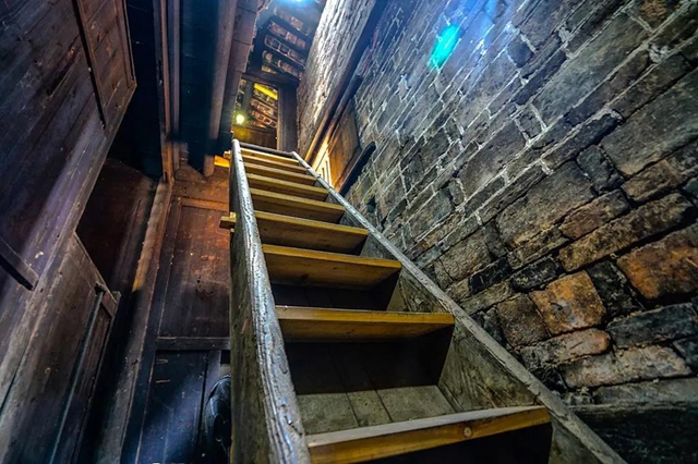 【围观】毒蛇造访家中，泸州两男子被咬伤入院(图2)