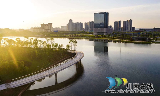 泸州市文艺评论家协会召开2020年理事（扩大）会议(图6)