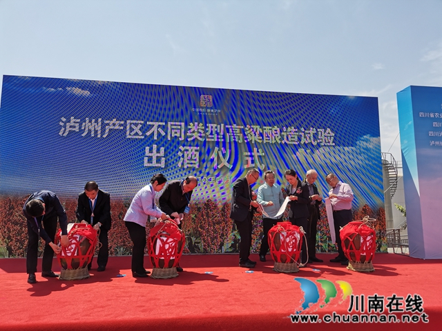 泸州产区不同类型高粱酿造试验出酒仪式举行(图2)