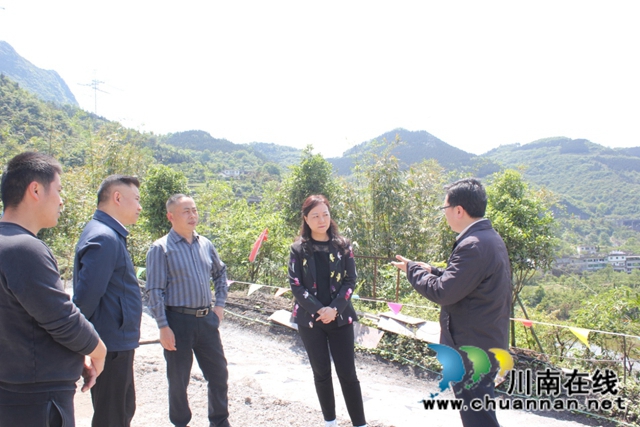 丁跃萍节前督查叙永县地灾防治和矿山安全生产工作(图2)