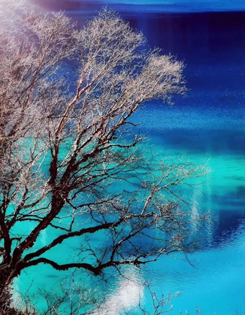 五一出游需提前预约，四川热门5A景区预约攻略来了!(图3)