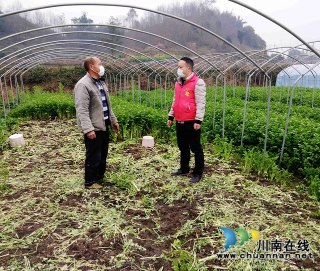 龙马潭区曹坝村第一书记吕煌斌：每天都感觉充满干劲的80后(图2)