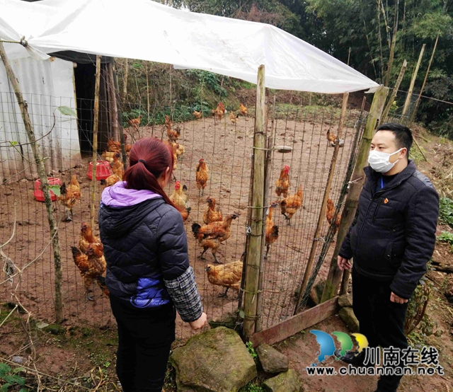 龙马潭区曹坝村第一书记吕煌斌：每天都感觉充满干劲的80后(图3)