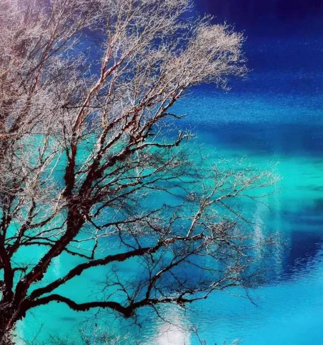 五一”四川最受欢迎景区TOP10!(图4) 五一”四川最受欢迎景区TOP10!(图4)