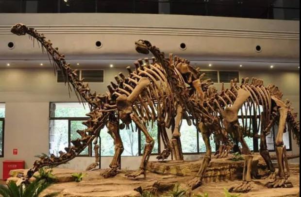 五一”四川最受欢迎景区TOP10!(图9) 五一”四川最受欢迎景区TOP10!(图9)