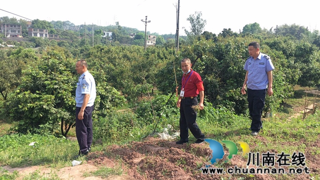 江阳区茜草街道沙坪社区：狠抓秸秆禁烧，推进环境保护