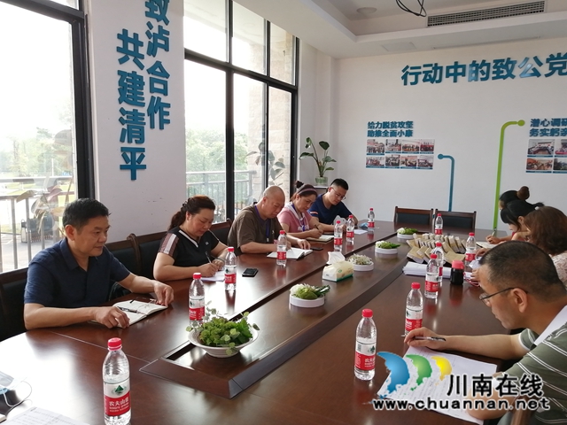 泸县玉蟾街道开展党风廉政建设专项督查工作(图2)