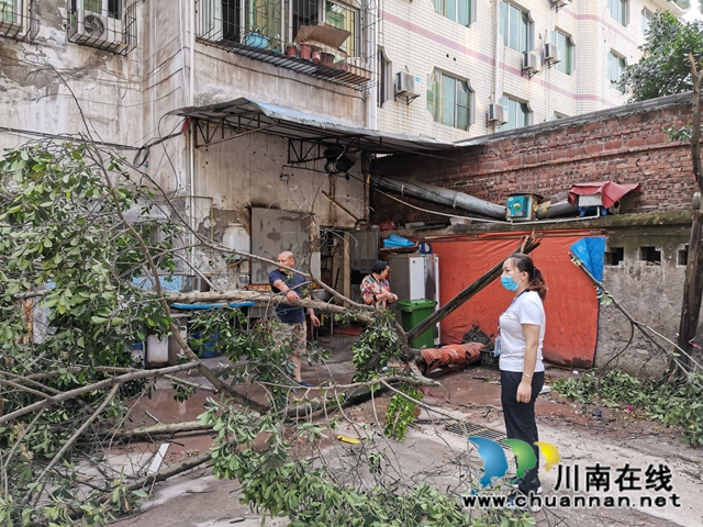 泸县玉蟾街道开展暴雨后灾情排查工作(图3)