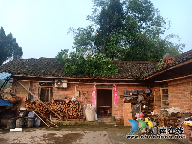 泸县玉蟾街道开展暴雨后灾情排查工作(图6)