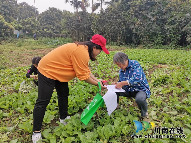 江阳区茜草街道桂圆林社区开展大气污染防治宣传(图2)