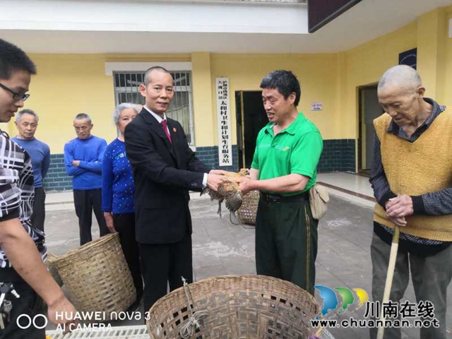 纳溪区法院：“五一”扶贫送鸡仔  产业发展助增收(图3)
