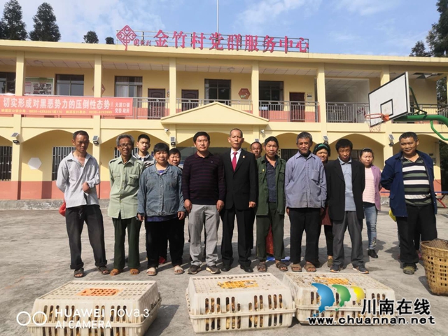  纳溪区法院：“五一”扶贫送鸡仔  产业发展助增收(图2)