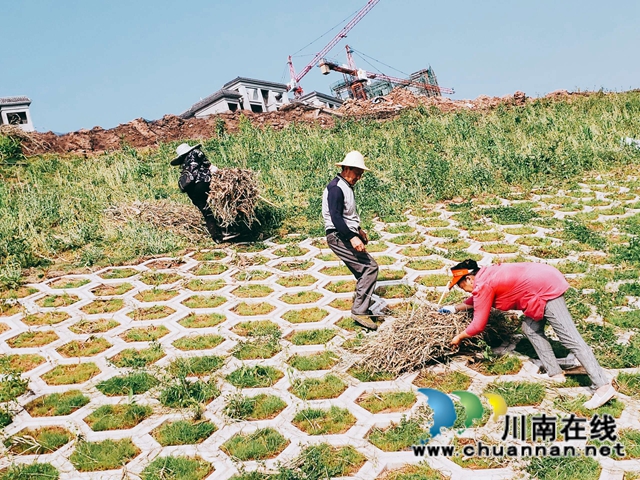 泸县玉蟾街道持续开展河长制工作推动治理常态化(图2)
