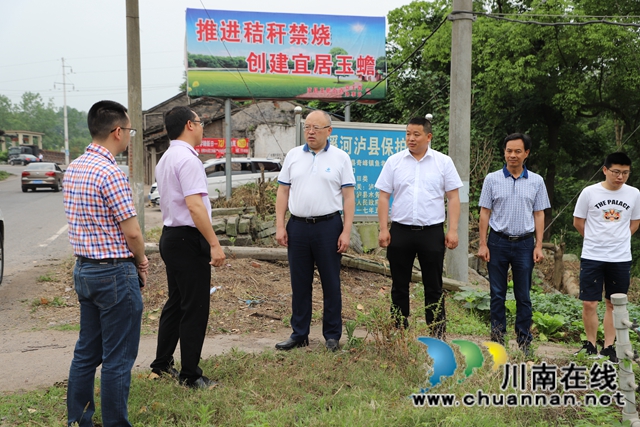 张文杰到泸县玉蟾街道督导河长制工作(图4)