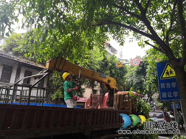 龙马潭区小市街道：风雨无阻 暖心守护