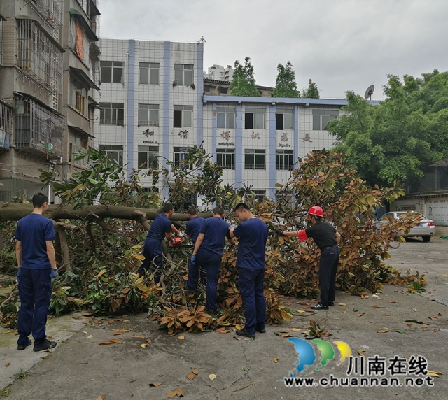 龙马潭区小市街道：风雨无阻 暖心守护(图3)