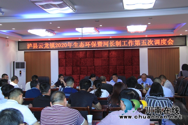 泸县云龙镇召开生态环保暨河长制工作第五次调度会(图1)