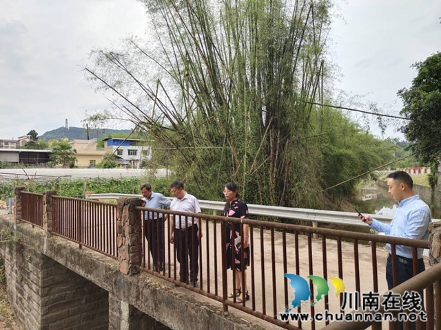 杨双全率队督导泸县小鹿溪河河长制工作(图1)