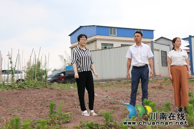 陈佳率队到泸县潮河镇督导河长制与重大动物疫病防控工作(图2)