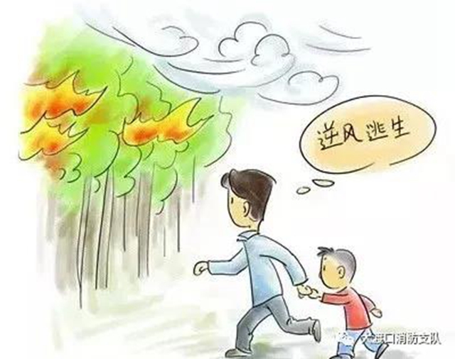 全国防灾减灾日 泸州消防在行动(图31)