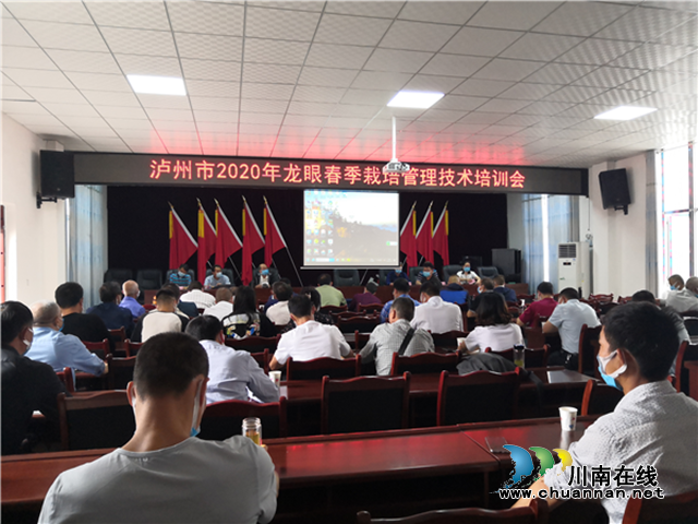 泸州：龙眼管护技术服务精准到位，为产业发展保驾护航(图2)