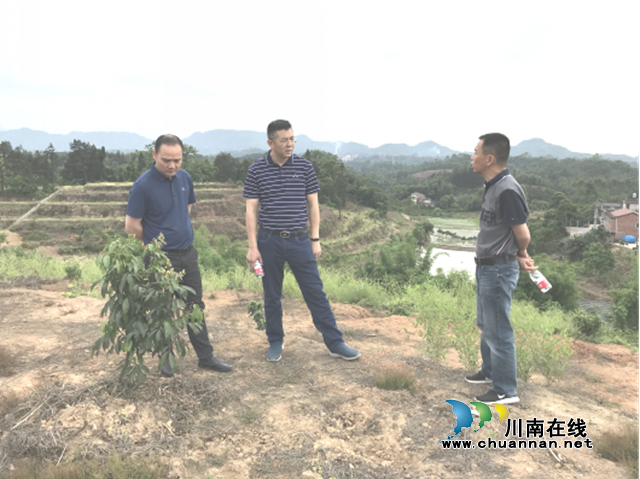 省国土整治中心复核合江县2019年验收土地整理项目