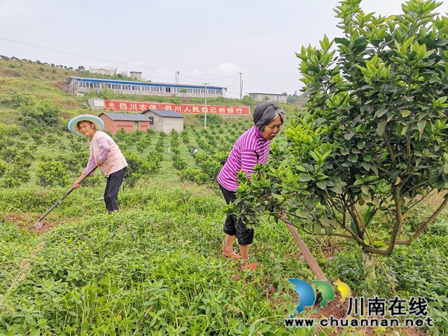 住上新房子、领到钱票子、过上好日子，泸县易地扶贫搬迁户的幸福生活(图2)