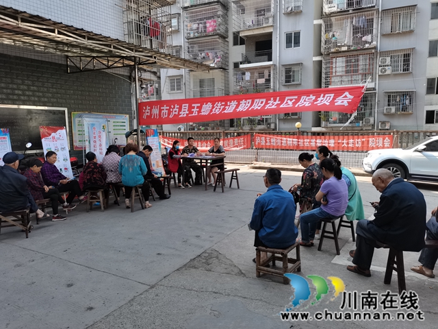 泸县玉蟾街道：狠抓河道整治 守护绿水青山(图3)